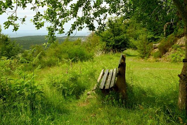 而到了第二 而到了第二