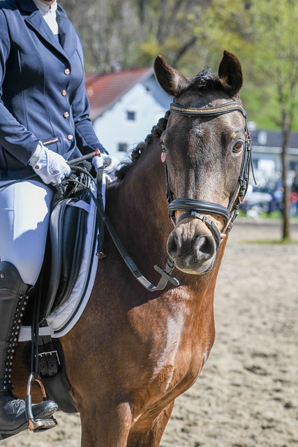 变了比赛的 变了比赛的